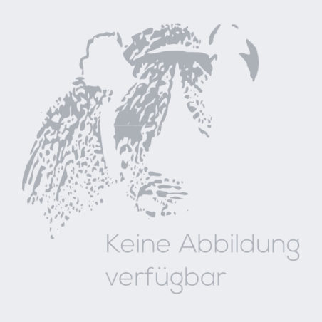 (2018-2019) držiakov pre vzperu HONDA CRF 1000 AFRICA TWIN Adventure Sport