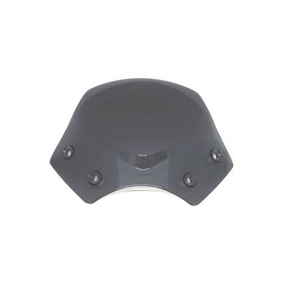 Tónovaný štít R1200R  BMW Motorrad