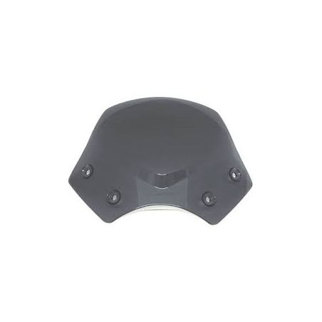 Tónovaný štít R1200R  BMW Motorrad