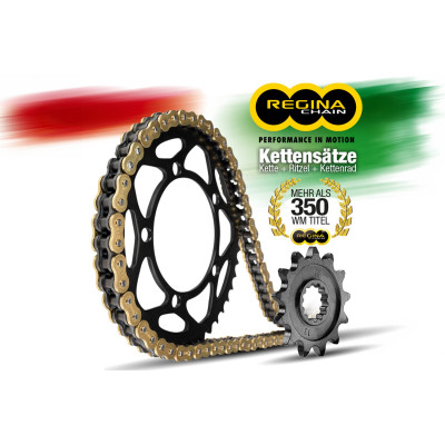 Reťazový kit Regina...