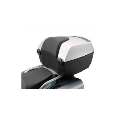 TopCase 49 litrový strieborný